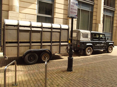 towing a livestock cattle trailer to market